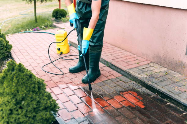 Best Local Pressure Washing Services  in Janesville, IA