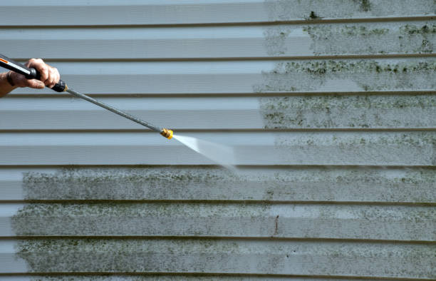 Best Fence Pressure Washing  in Janesville, IA