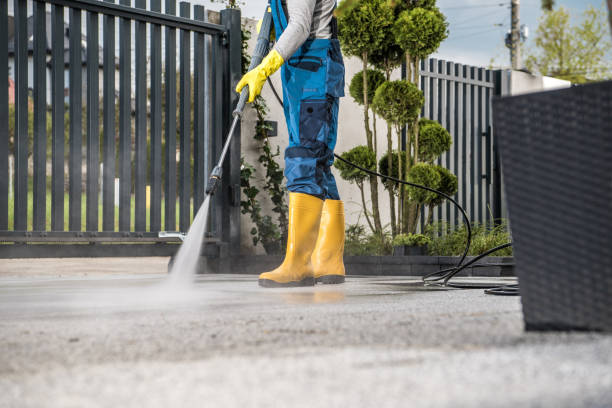 Best Pressure Washing Siding  in Janesville, IA