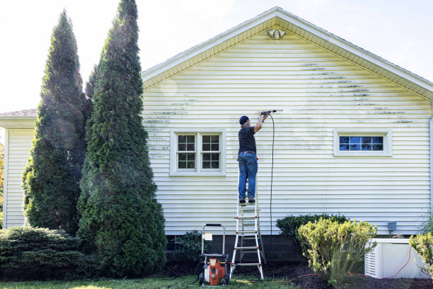 Best Residential Pressure Washing Services  in Janesville, IA