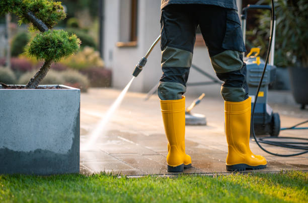 Best Exterior Home Cleaning  in Janesville, IA